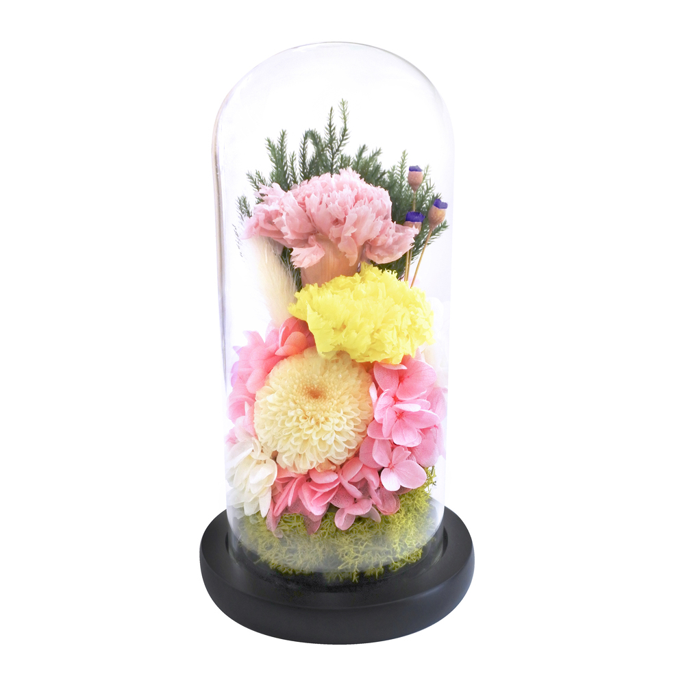 *. thousand (..) *... glass dome preserved flower . flower ... glass dome light ....... thing stylish .. not 