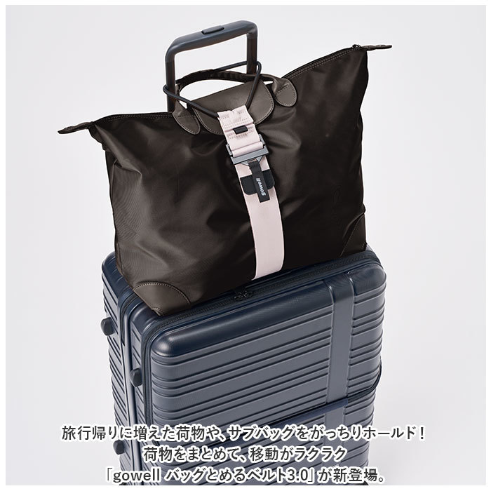 * mint * gowell bag ... belt 3.0 gowellgo- well belt bag ... belt luggage ... not luggage fixation luggage fixation summarize .