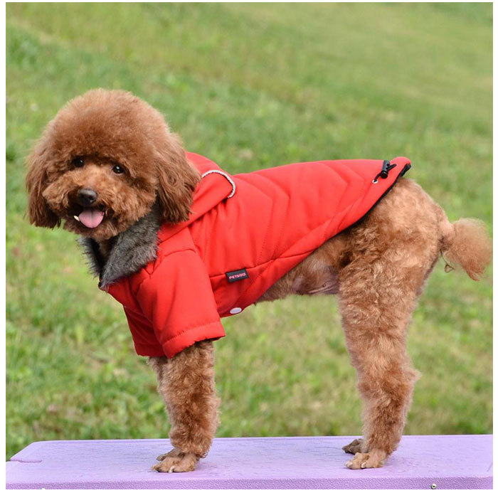 * розовый * L * для домашних животных защищающий от холода с капюшоном . жакет весна осень-зима yspetsoo5298 пальто собака одежда домашнее животное одежда собака. одежда жакет внешний 