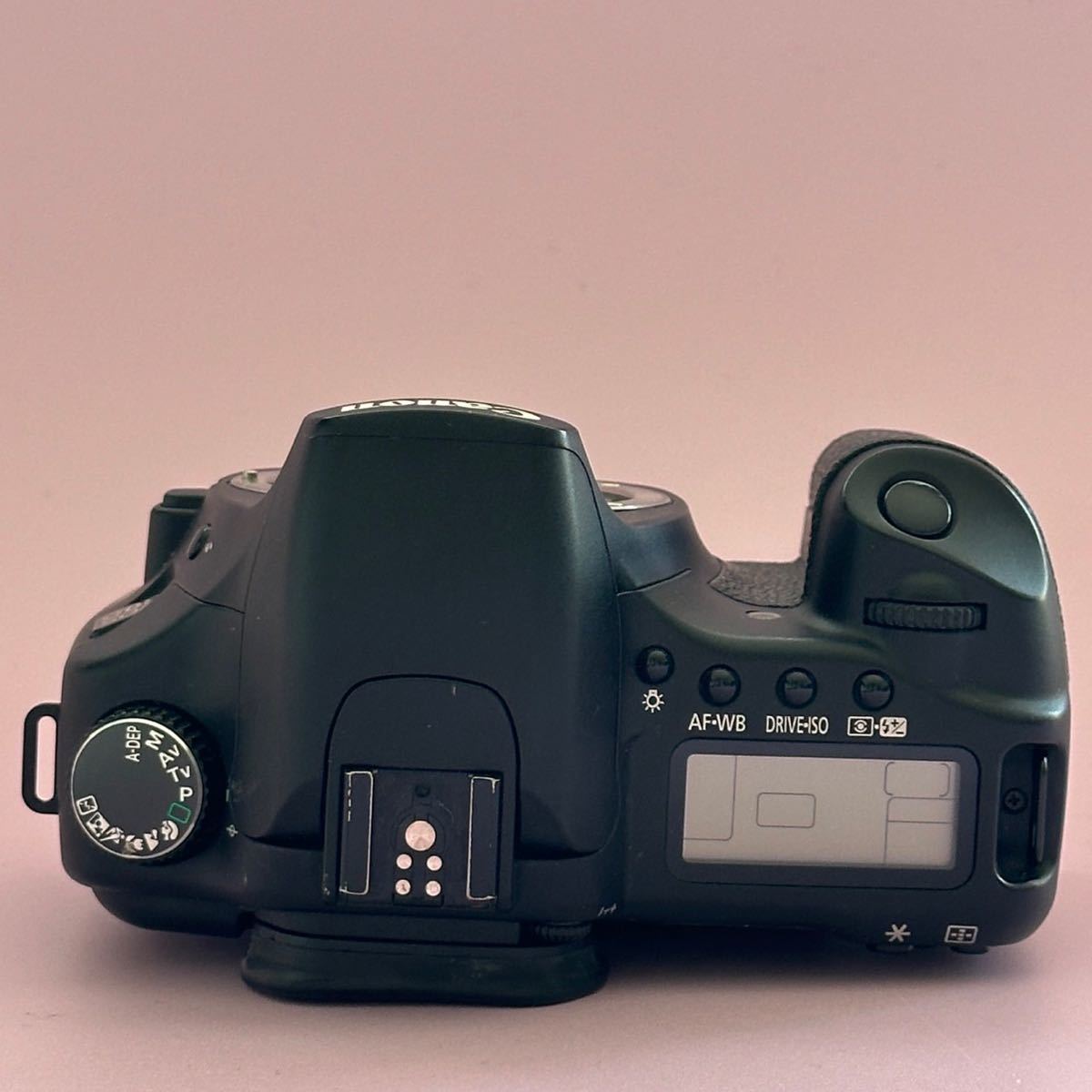 キャノン Canon EOS 30D ボディ デジタル一眼レフカメラ_画像7