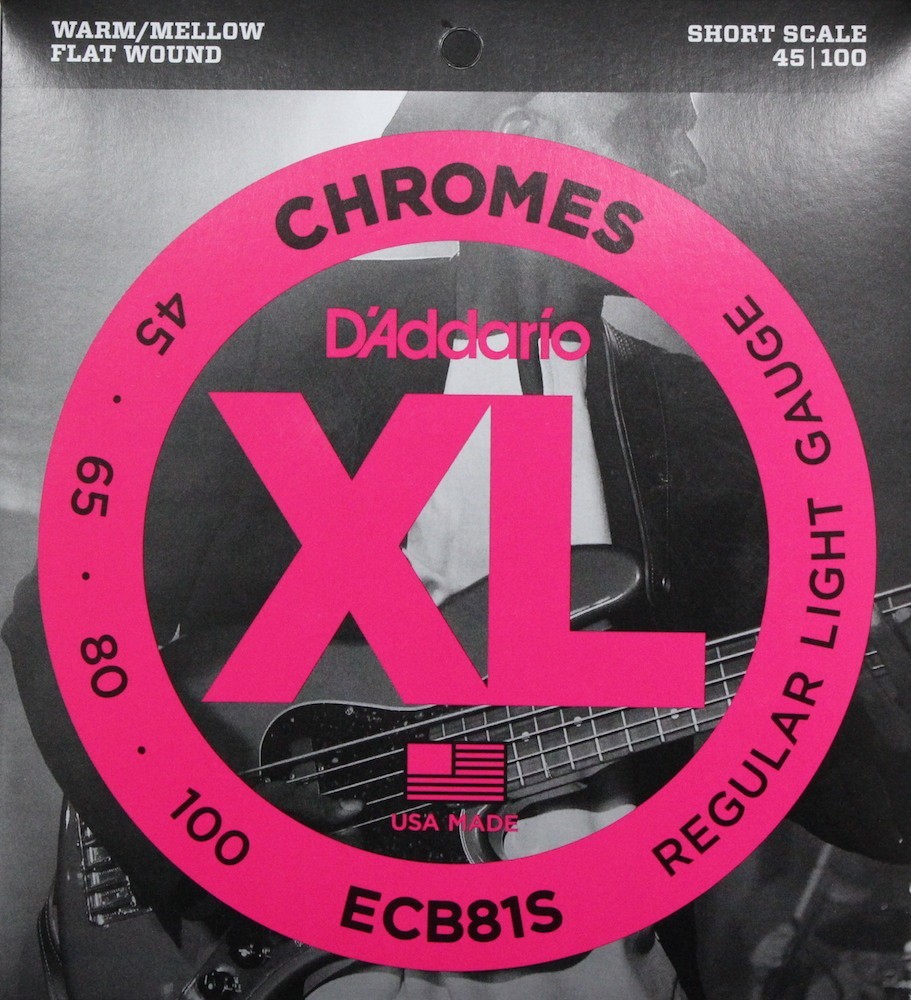 ダダリオ D'Addario ECB81S フラットワウンド エレキベース弦_画像1