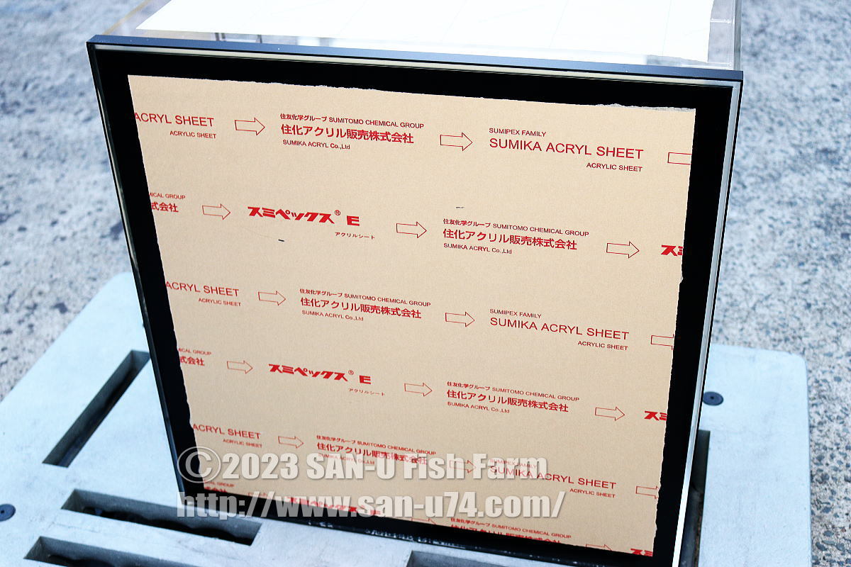 アクリル水槽 幅605×奥行605×高300mm・黒艶消し帯付き・底板艶消し黒色