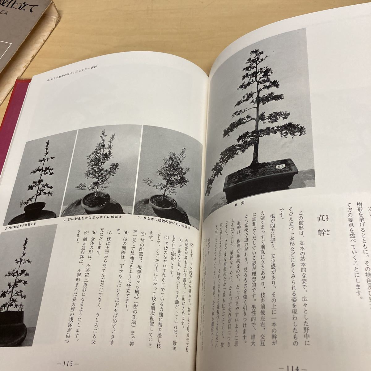 さつき　観賞と盆栽仕立て　昭和45年発行_画像9