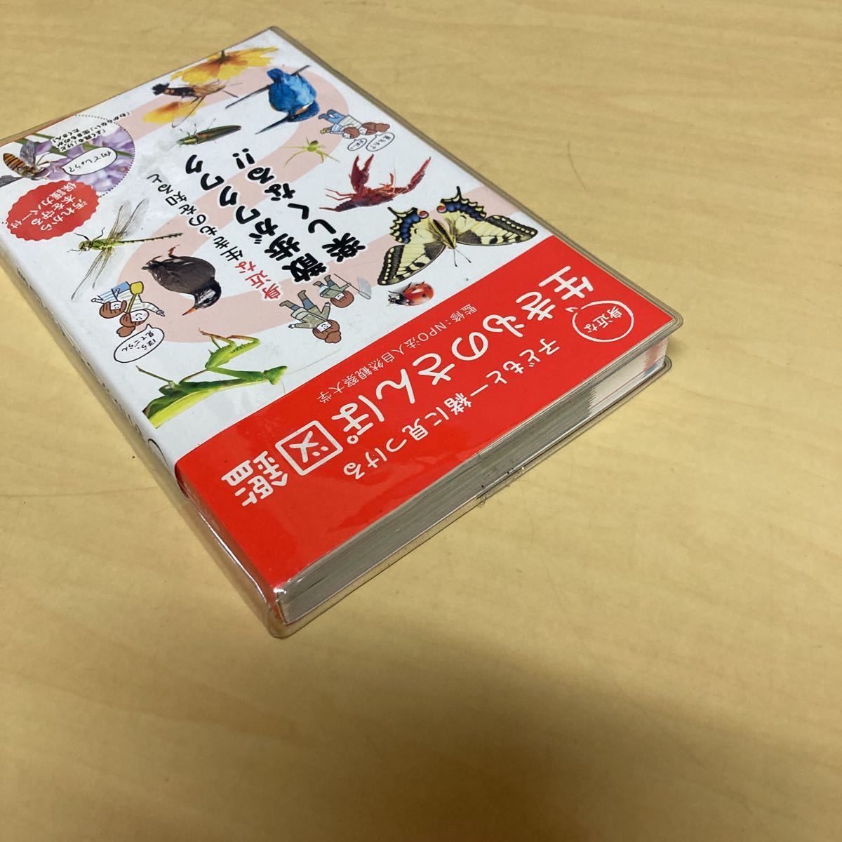 子どもと一緒に見つける 身近な生きもののさんぽ図鑑の画像3