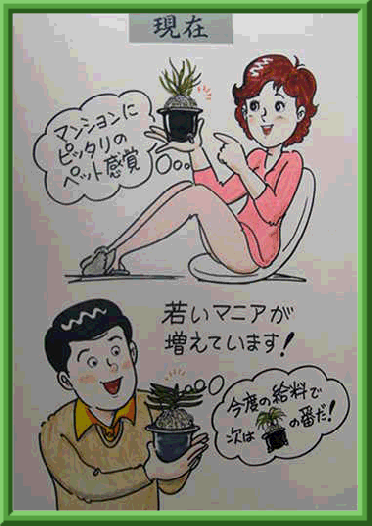 富貴蘭「出雲金斑+植替お試 苔台6ヶset」同梱★日陰作りで芸が少し眠い本性品 2本小子付き種木★第四種鉢無し根露出発送に限り無料_画像9