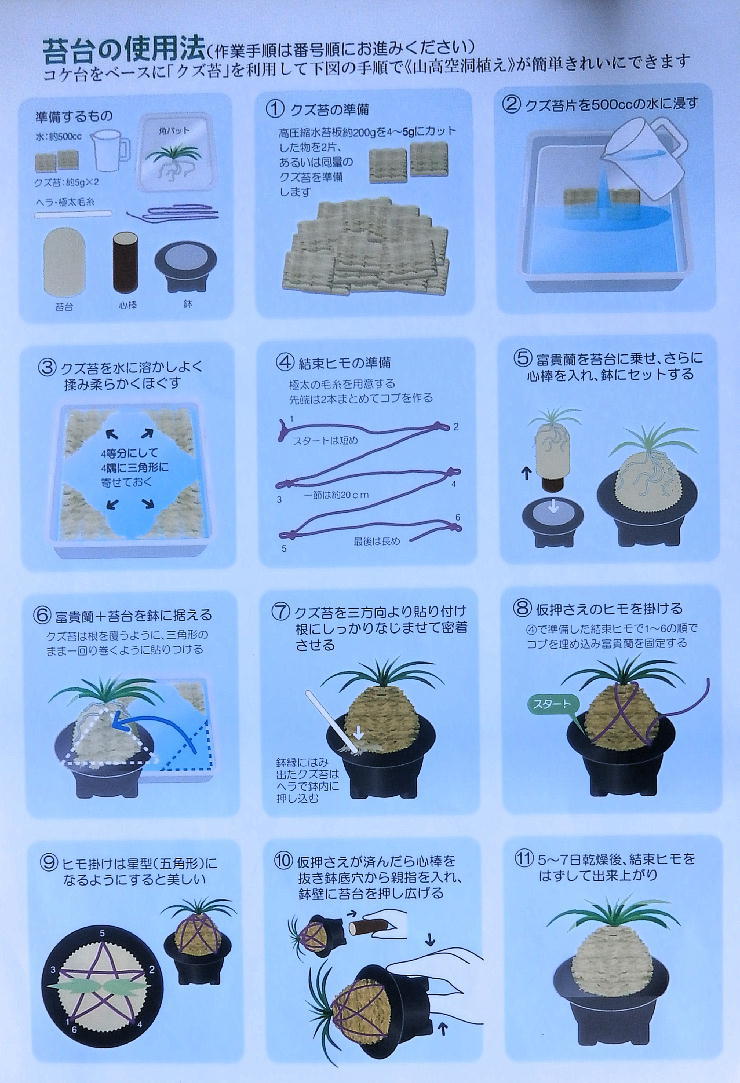 苔台20ヶ卸売特販「単価115x20+箱代65=2370円」★何時も植替え最盛期 苔台は完全乾燥だから何時でも植替えok即落出品〒定形外郵便送料550円_屑苔+抑えアート水苔で綺麗に植え替える。