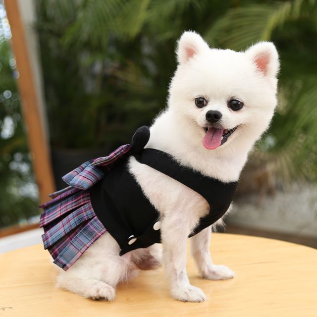 【Sサイズ / 紫色】☆チェック柄リボンスカート☆リード付き 犬の服 犬服_画像4