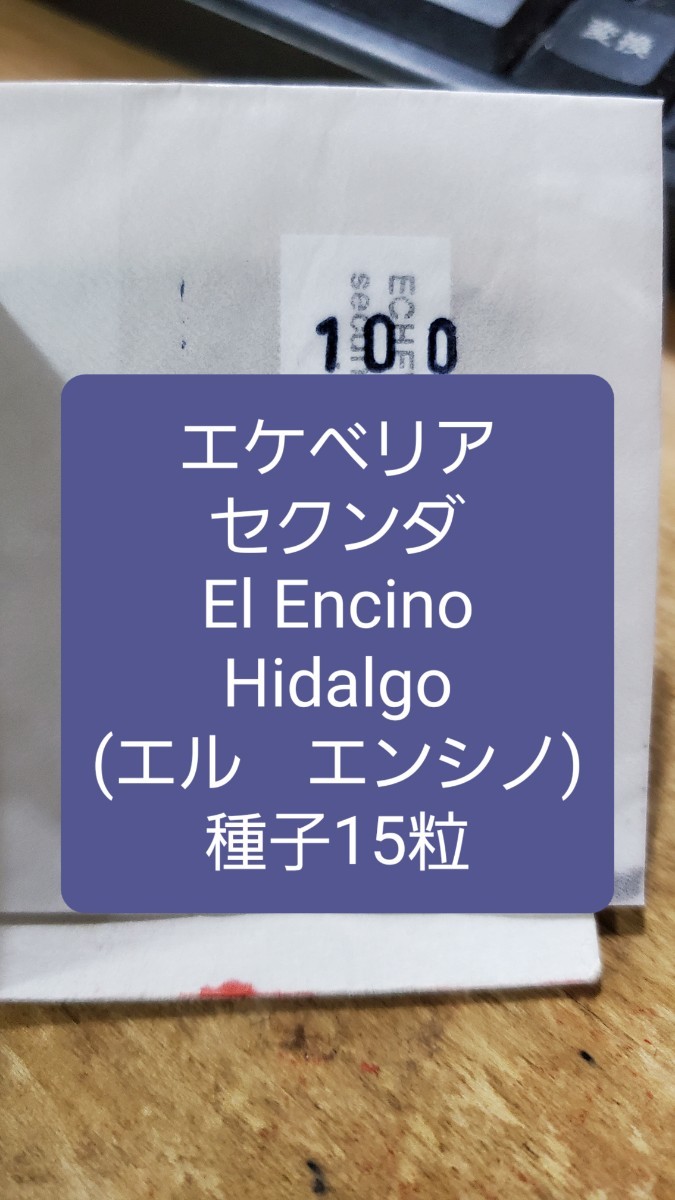 エケベリア　セクンダ, El Encino, Hidalgo エル　エンシノ　種子15粒_画像1