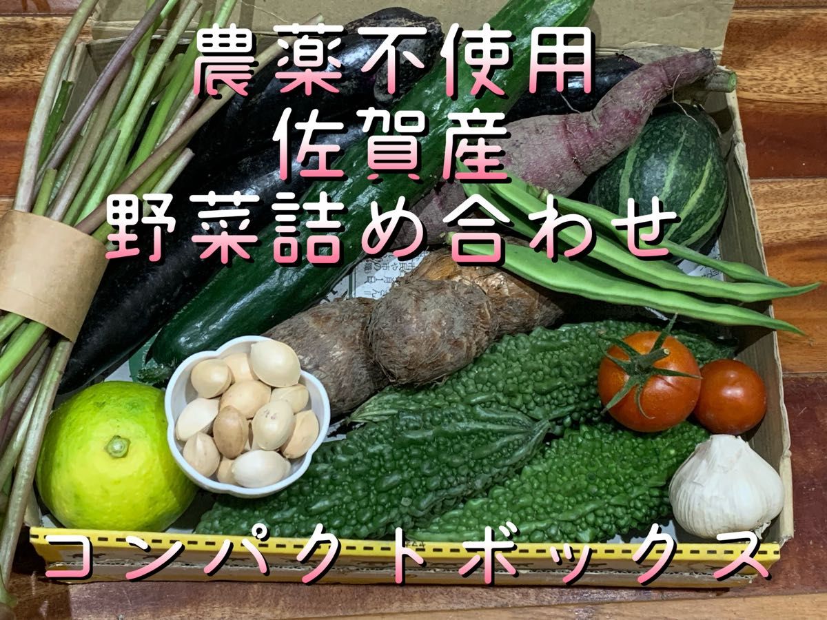 土浦名産れんこん5kg - 野菜