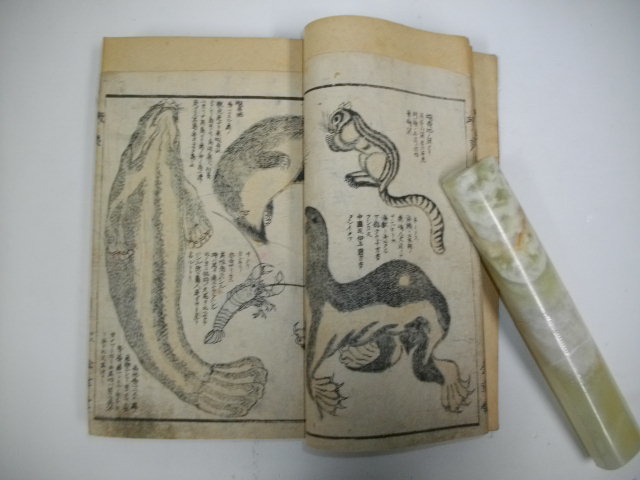 蝦夷葉那誌□松浦竹四郎□版心に「金幸堂」 - 文化、民俗 蝦夷葉那誌□松浦竹四郎□版心に「金幸堂」 - 文化、民俗