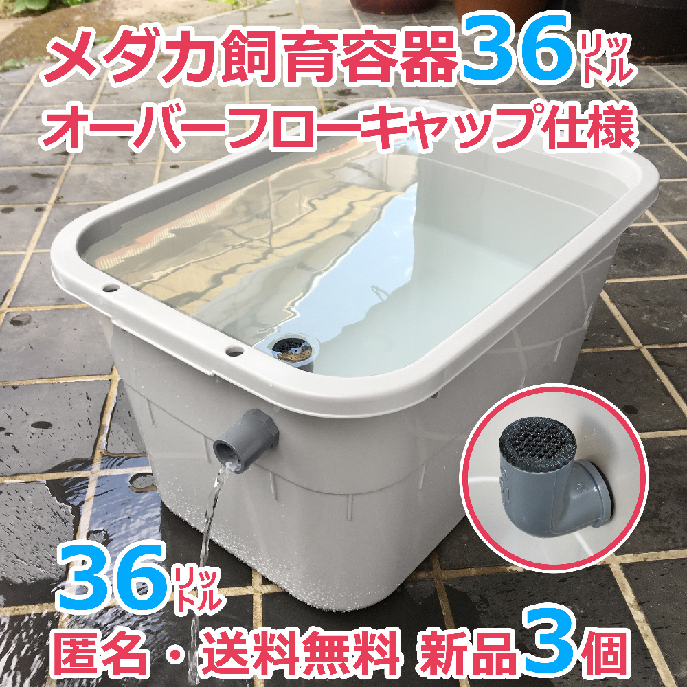 メダカ飼育容器【36㍑ グレー 3個 オーバーフローキャップ付】匿名・送料無料 金魚飼育ケース タライ 水槽 越冬 ビオトープ【五色アクア】