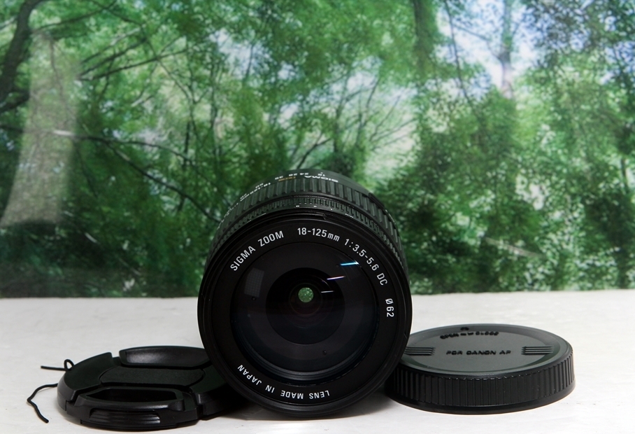 普段使いこれ1本あればラクラク SIGMA 18-125mm canon用 レンズフード