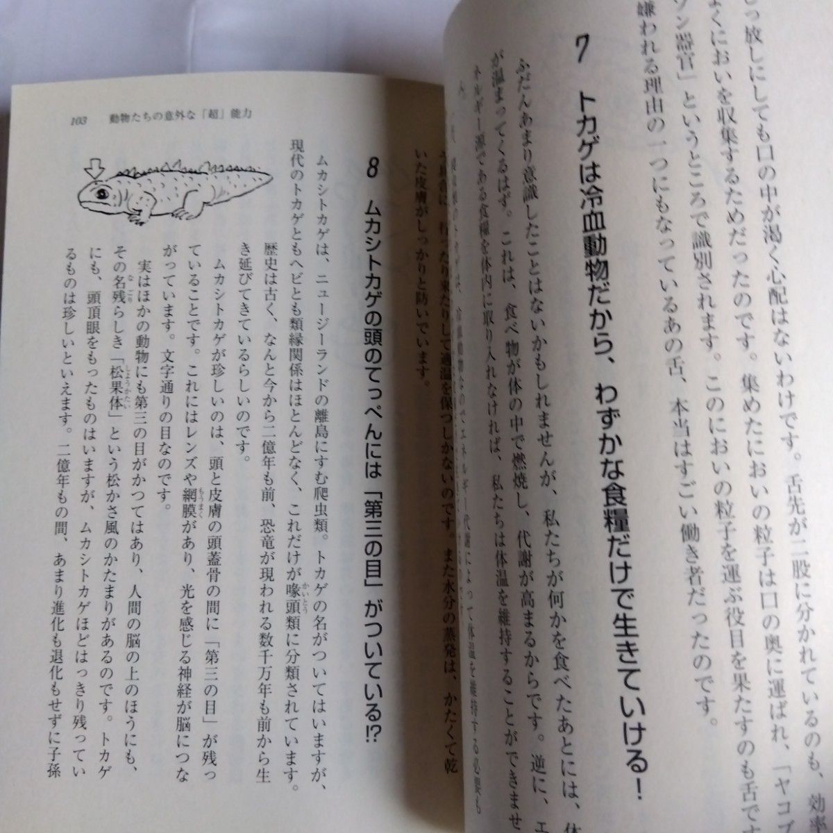 最後の秘境 東京藝大 天才たちのカオスな日常    理科系雑学