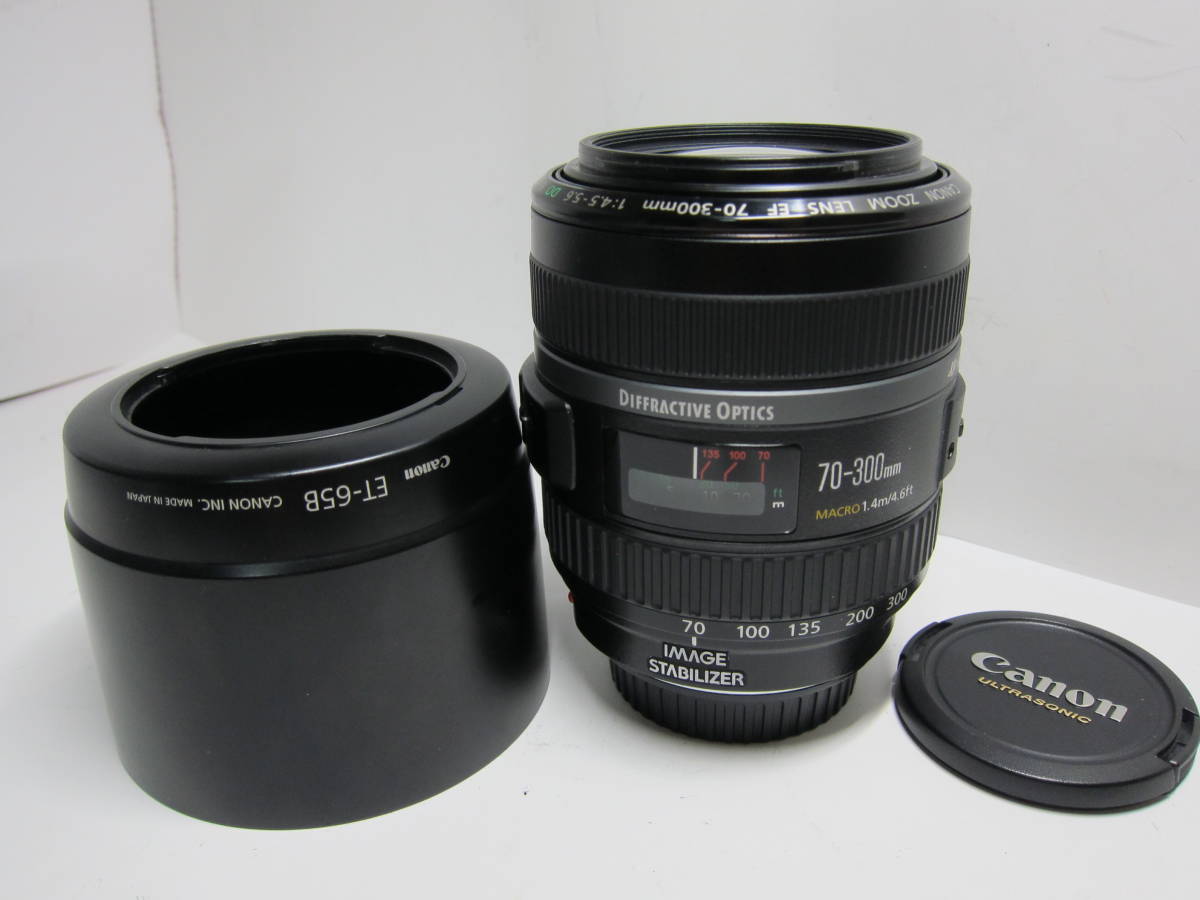 Canon EF 70-300mm 4.5-5.6 DO IS USM ■美品■ 10683_画像1