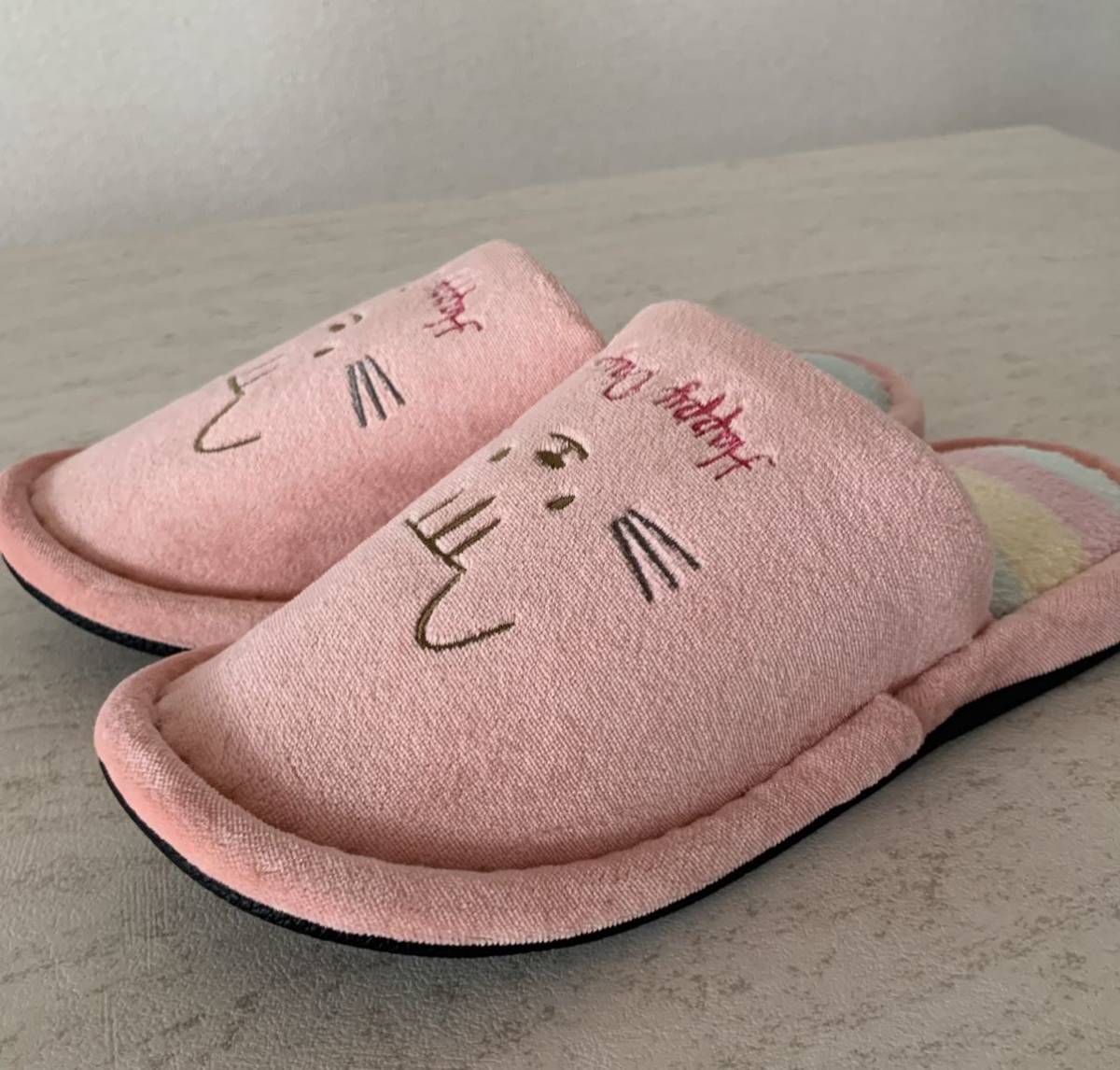 [ new goods ] cat cat Chan slippers pink autumn winter spring mo Como ko soft ... interior put on footwear anti-bacterial room shoes cat for adult 