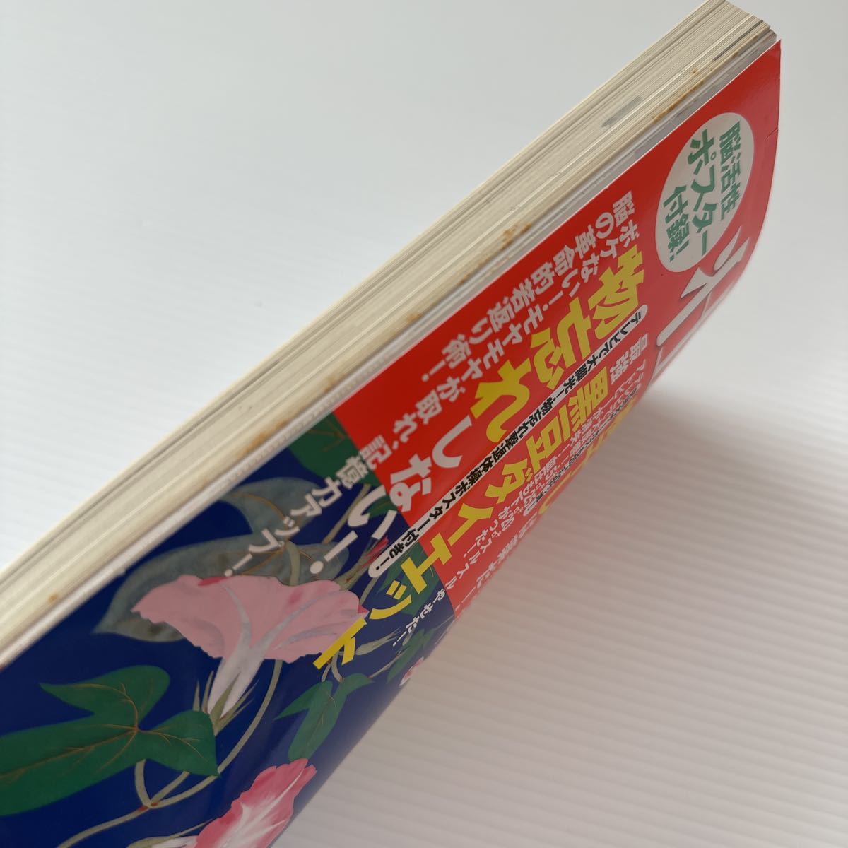 付属品無し 壮快 2010年8月 認知症予防 物忘れ 股関節回し 足指マッサージ ボケ防止 解毒 デトックス リウマチ 関節痛 体調 25.5×18.3cm_画像10