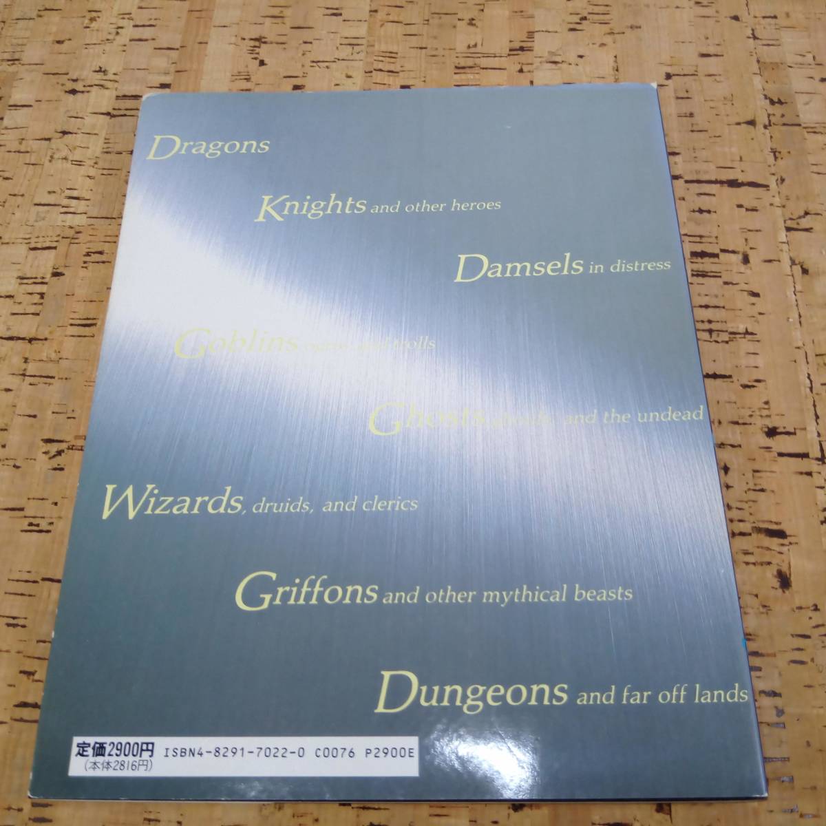  rare large book@ Dan John z& Dragons D&D fantasy art / Dragon Ran s* fine art - unusual .. door - Fujimi Shobo two pcs. set .
