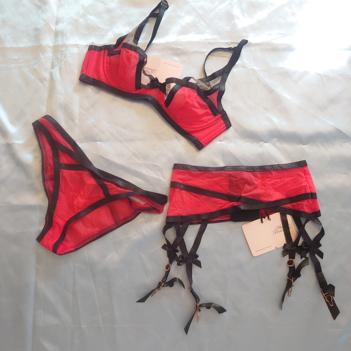 Agent Provocateur ブラ（34C）＆ショーツ（サイズ2） - その他