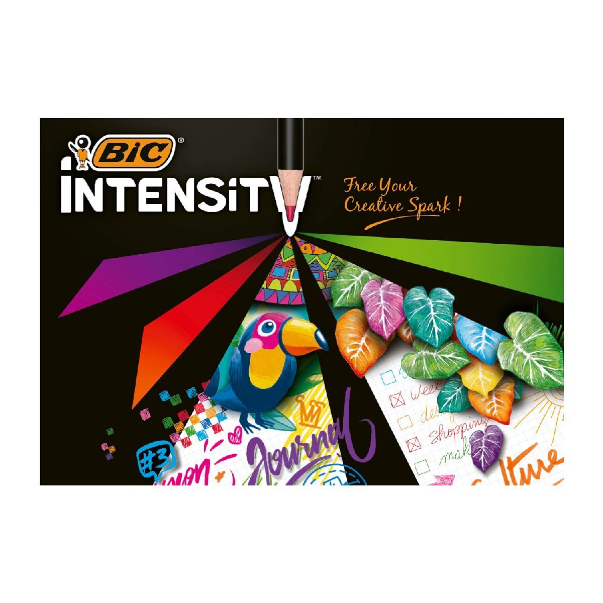 送料無料★ビック(Bic) 色鉛筆 塗り絵 大人 ソフト 鮮やか Intensity 24色 ITS-DUTCMPK12_画像6