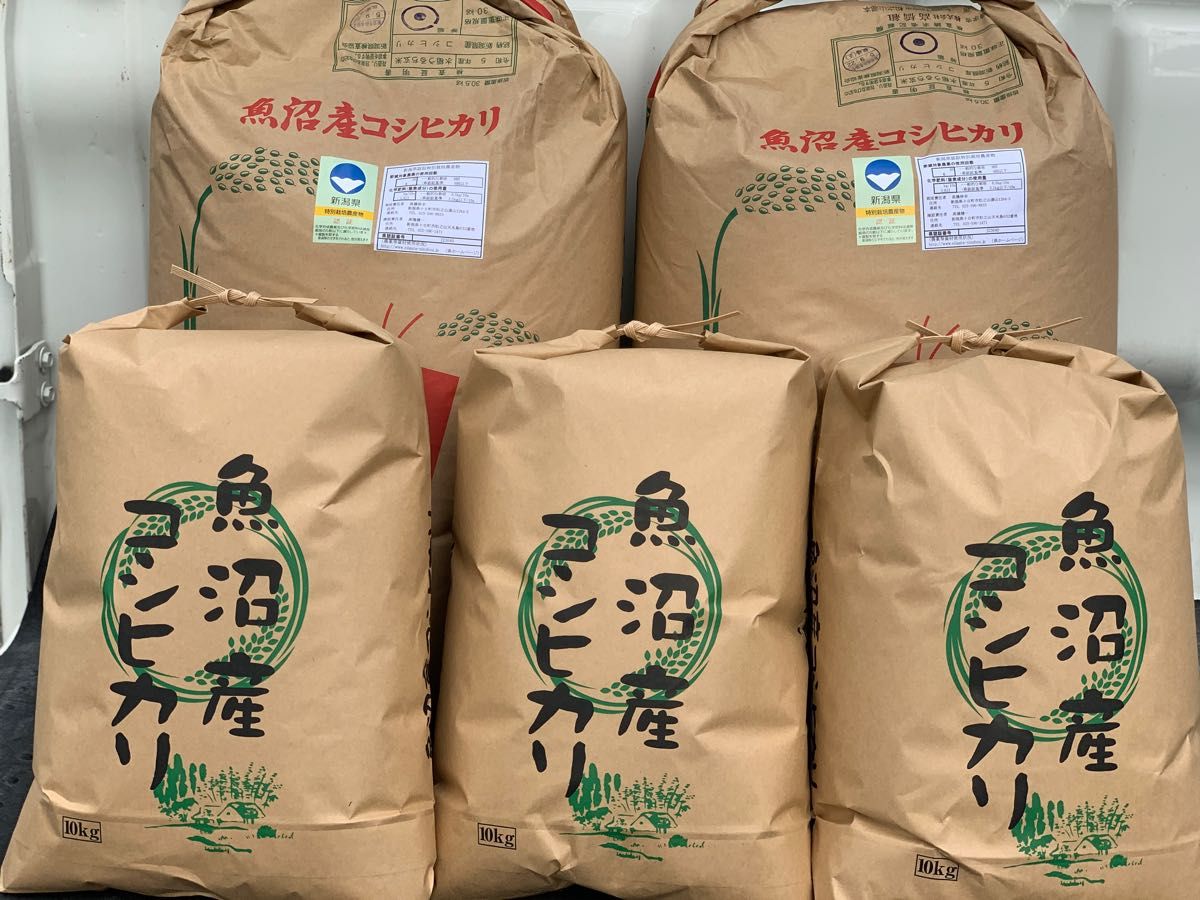 新米１等米小分け 特別栽培米 玄米 魚沼コシヒカリ30kg（10k×3）精米
