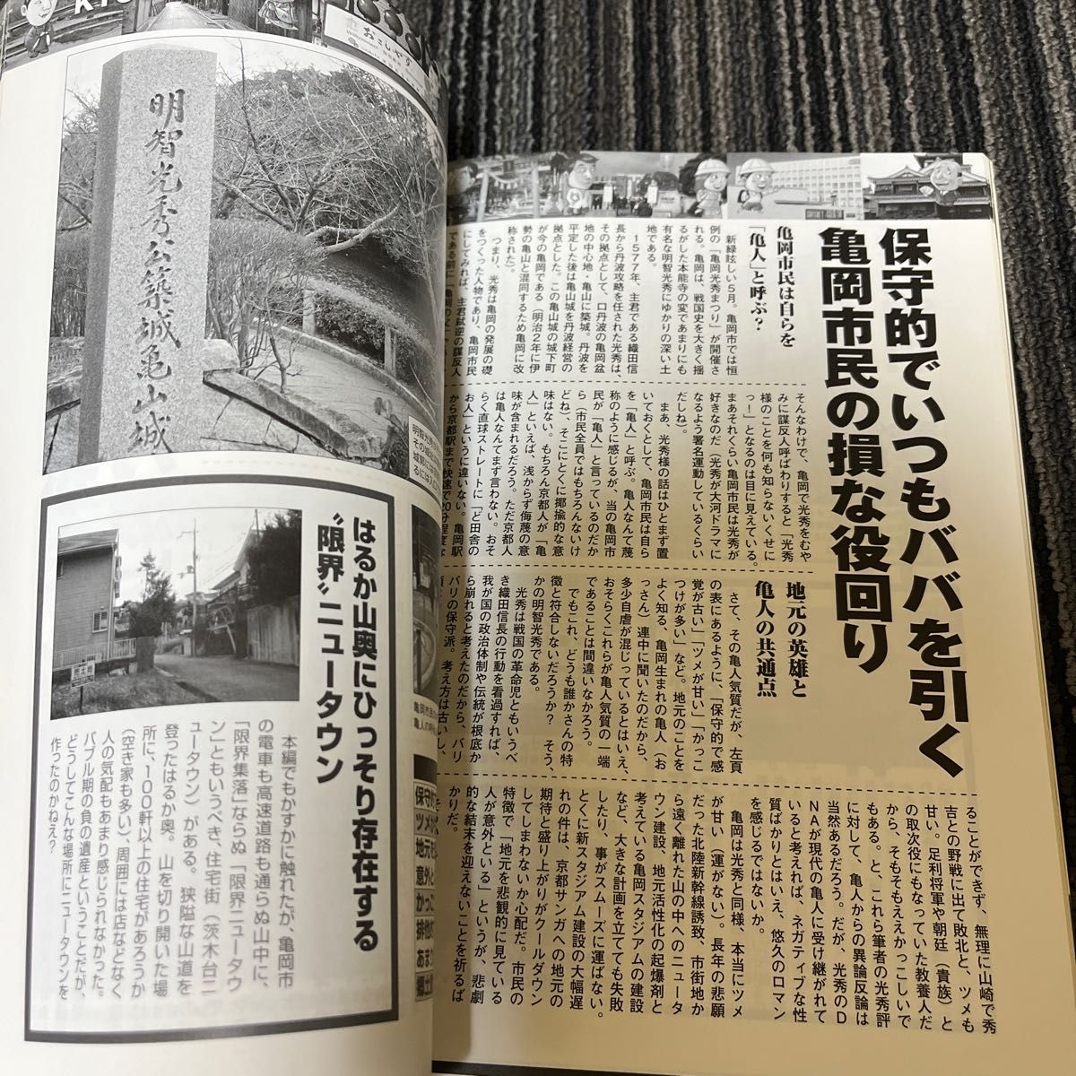 これでいいのか京都府　イメージと違うリアルな京都を徹底解明 （日本の特別地域　特別編集　　８０） 岡島慎二／編　鈴木ユータ／編