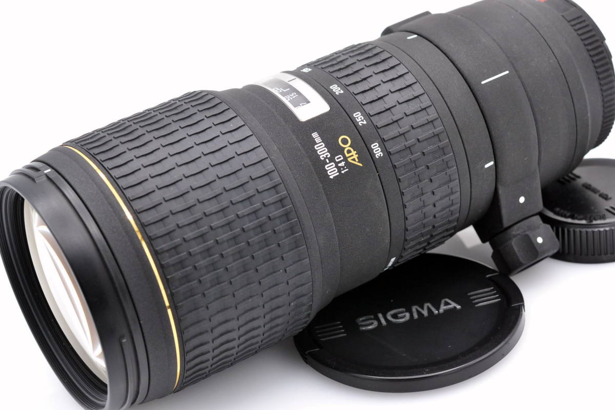 SIGMA EX 100-300mm 4D APO IF HSM ニコン用 F-