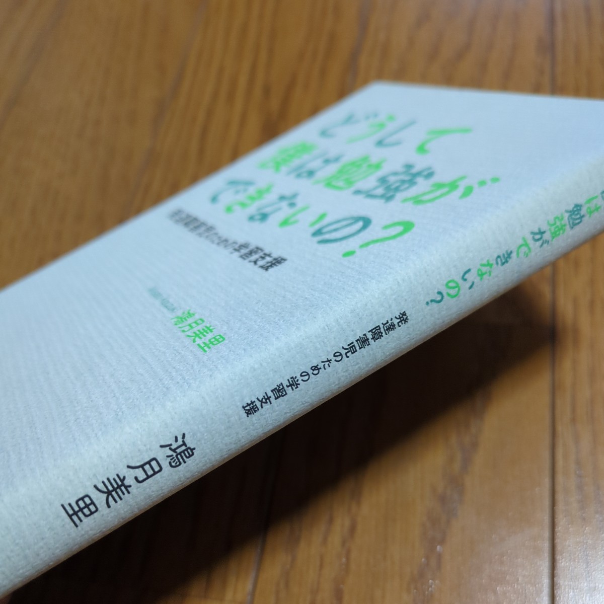 どうして僕は勉強ができないの？ 発達障害児のための学習支援 鴻月美里 幻冬舎 中古 