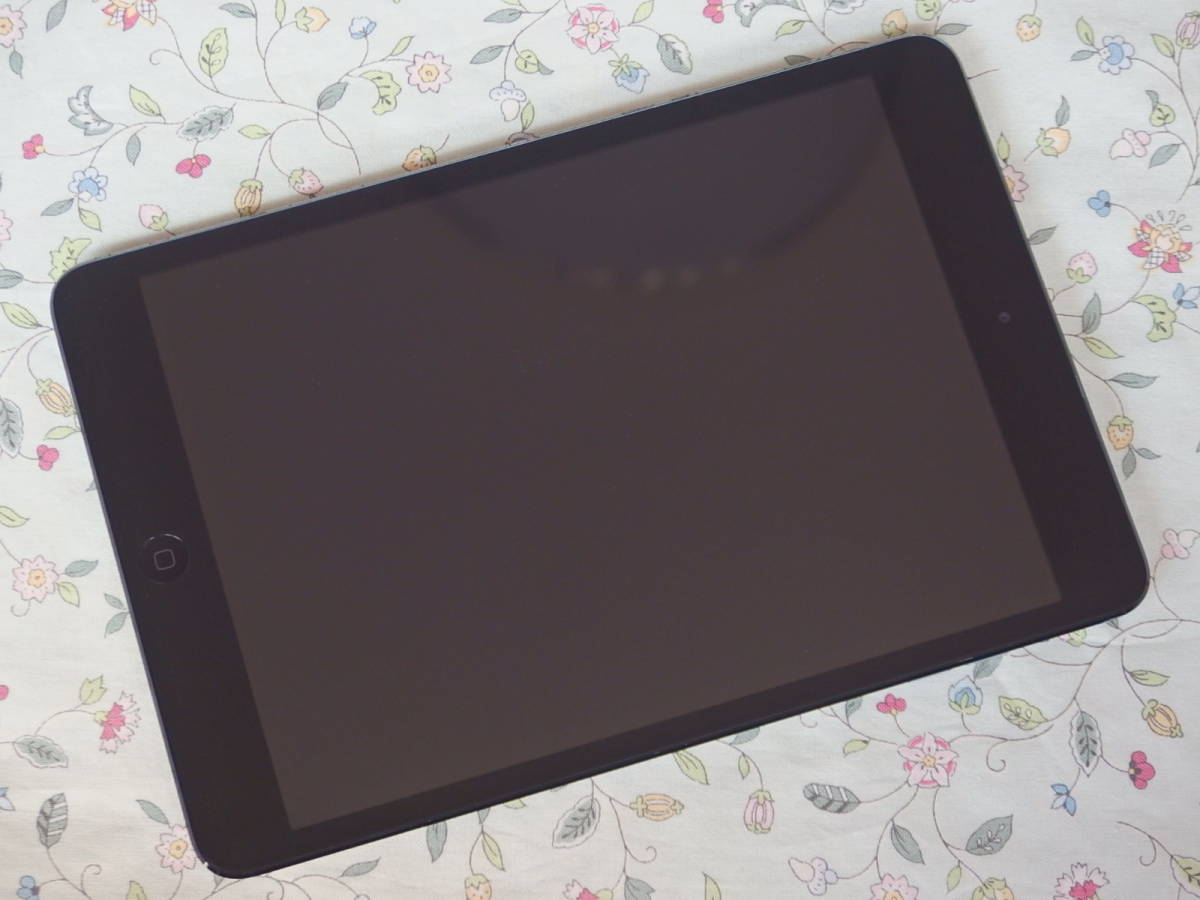 ☆彡 美品　Apple iPad mini A1455 16GB Wi-Fi + Cellular ブラック＆スレート_天井の写り込みがあります。