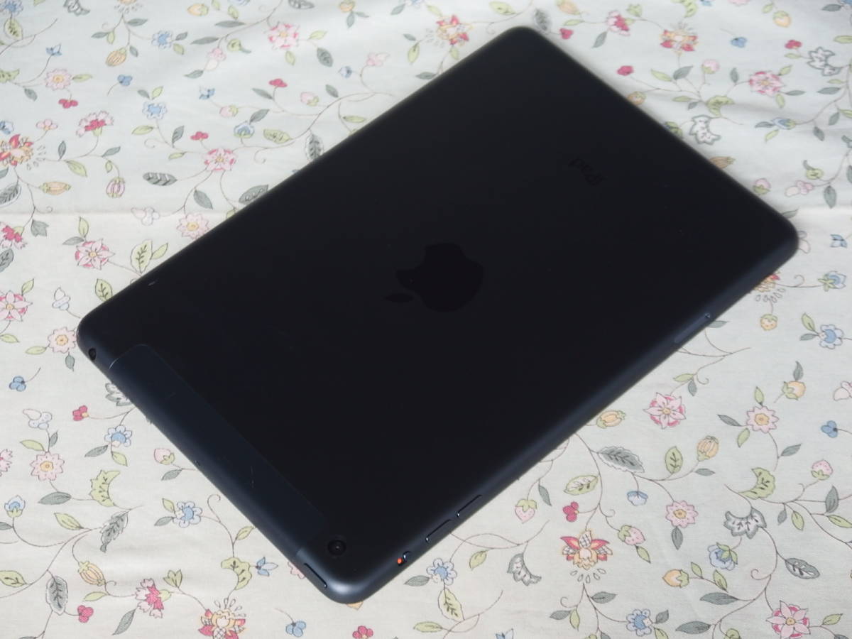 ☆彡 美品　Apple iPad mini A1455 16GB Wi-Fi + Cellular ブラック＆スレート_画像8