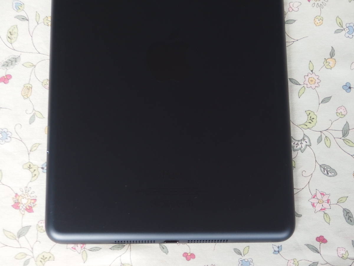 ☆彡 美品　Apple iPad mini A1455 16GB Wi-Fi + Cellular ブラック＆スレート_画像10