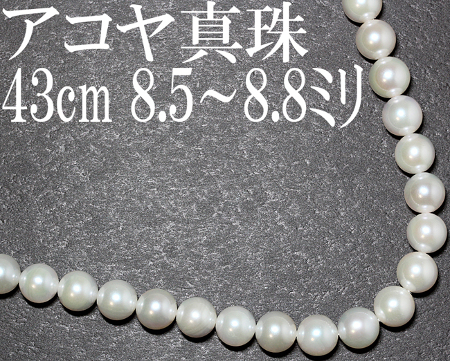 おトク情報がいっぱい! アコヤ真珠 ネックレス 大粒☆パール 上品 8.5