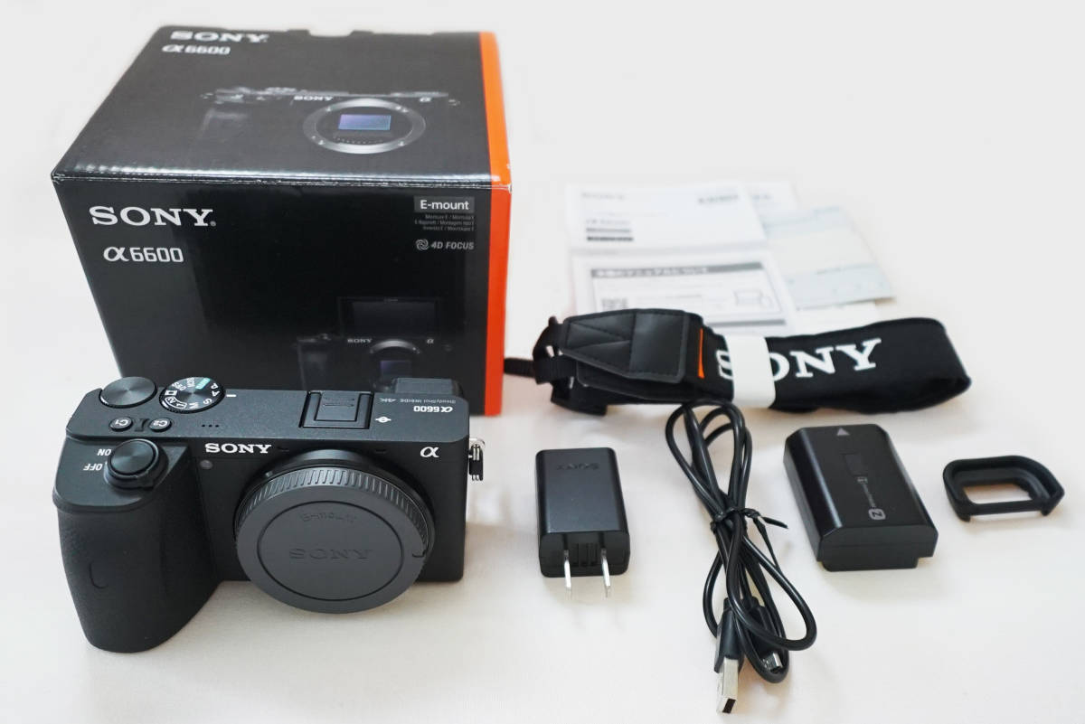 最初の ミラーレスカメラボディ α6600 【美品】SONY ILCE-6600 高