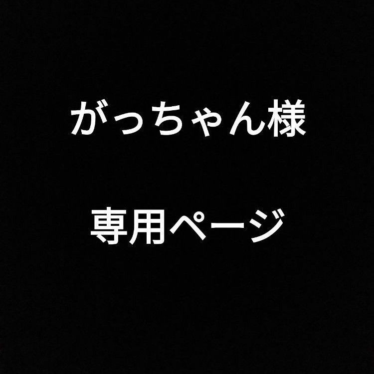 がっちゃん様　専用ページ