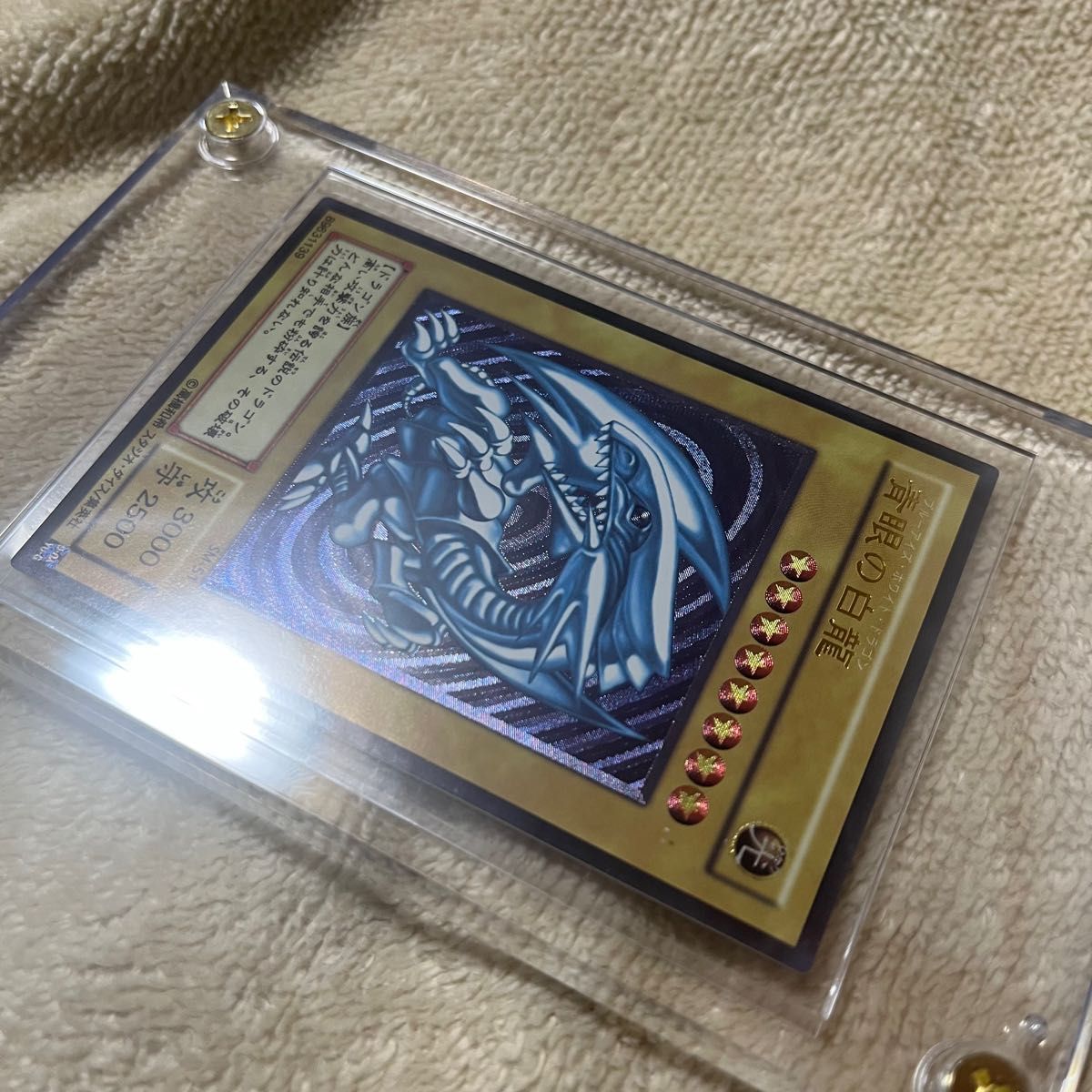 ハイクオリティ観賞用 遊戯王 青眼の白龍 ブルーアイズホワイト ハイクオリティ観賞用 遊戯王 青眼の白龍 ブルーアイズホワイト