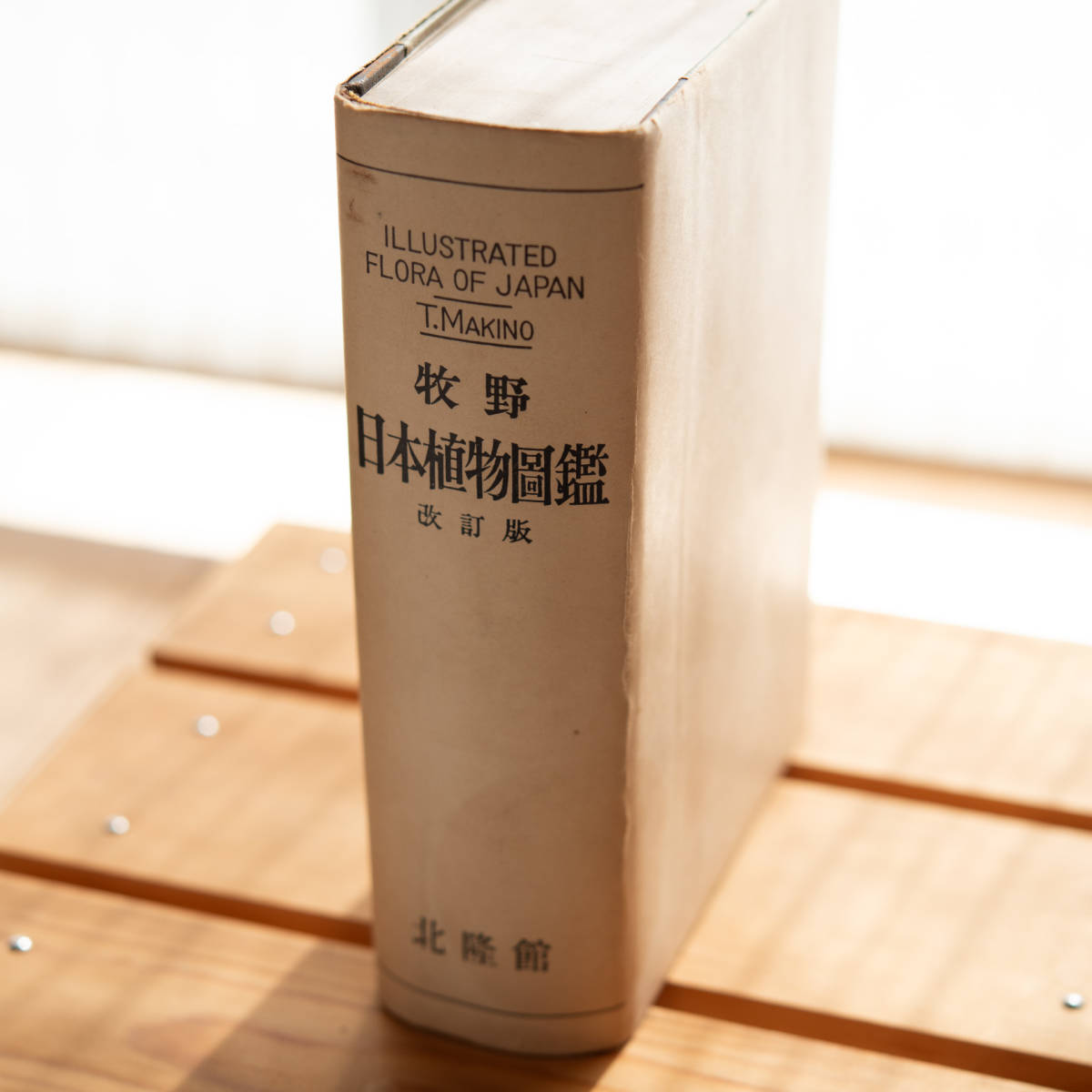 古書】牧野日本植物図鑑 改訂版 牧野富太郎著(昭和29年4月15日発行 19