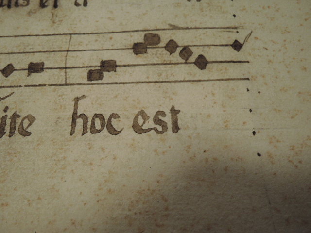 楽譜 グレゴリア聖歌/ラテン語 15世紀 音楽 古紙/手書き 縦49.5cm×横32.5cm_画像3