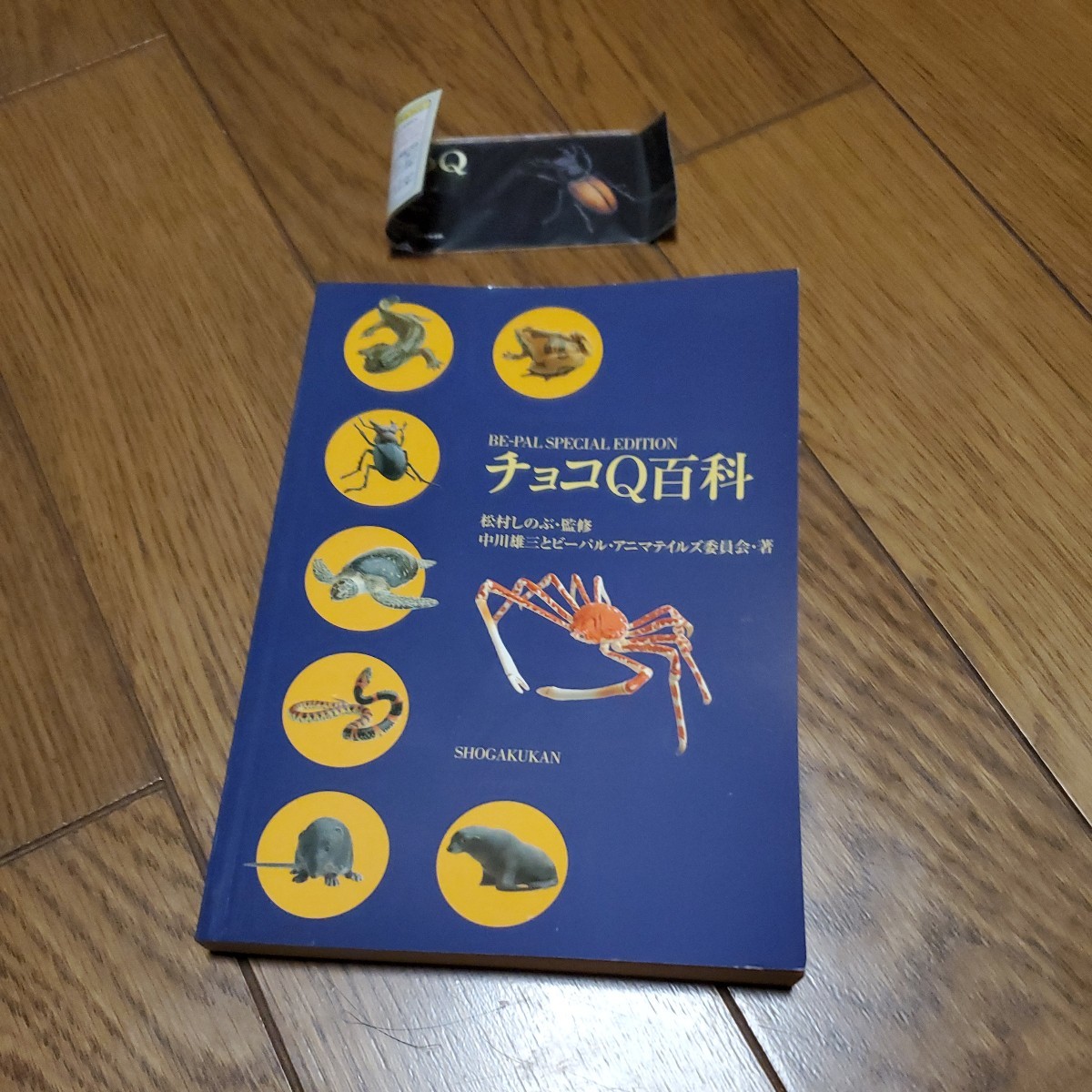 チョコQ百科 完全オールカラー図鑑&2種類のミクラミヤマクワガタ(黄紋型、超黄紋型)のフィギュア入り/未組立_画像7