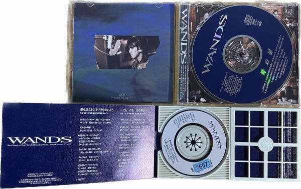 WANDS CD 2枚セット　(SZT313)_画像3