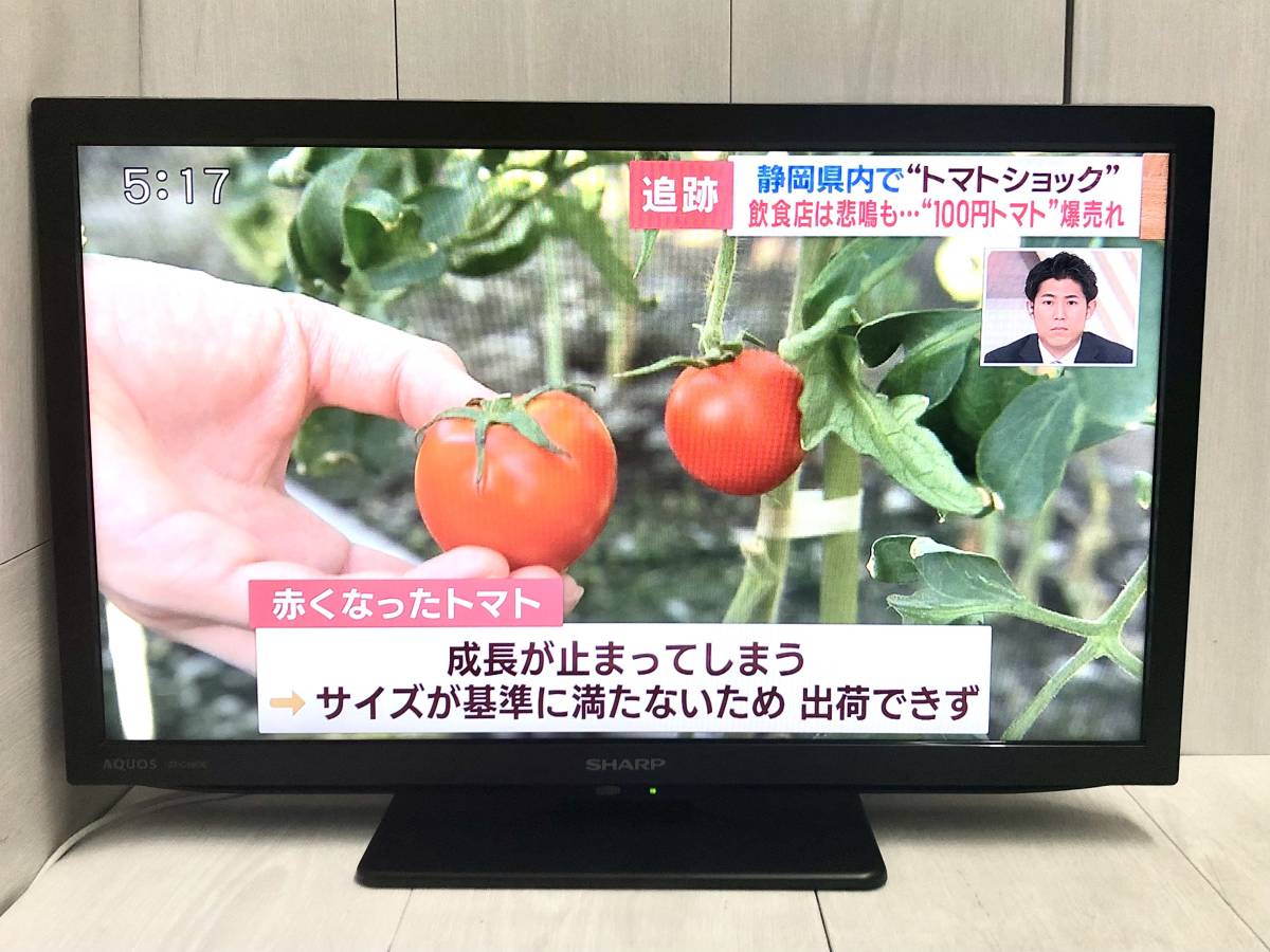 送料無料 SHARP シャープ AQUOS アクオス 液晶テレビ 19V型 19 送料無料 SHARP シャープ AQUOS アクオス 液晶テレビ 19V型 19