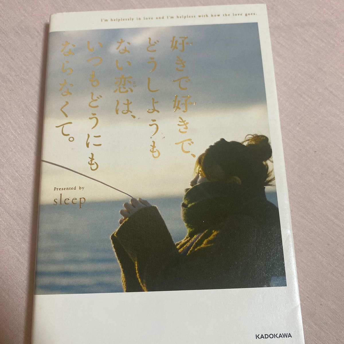 好きで好きで、どうしようもない恋は、いつもどうにもならなくて。 ｓｌｅｅｐ／著