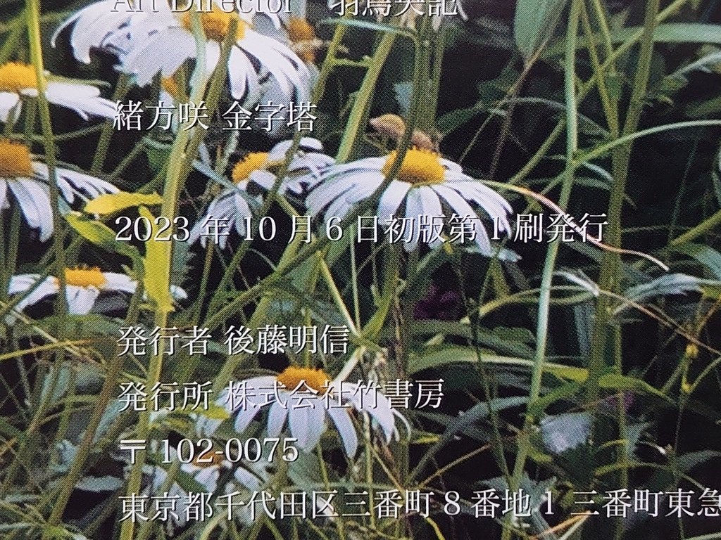 ☆直筆サイン入り☆【中古】写真集 ◇ 緒方咲《 金字塔 ☆直筆サイン入り☆【中古】写真集 ◇ 緒方咲《 金字塔
