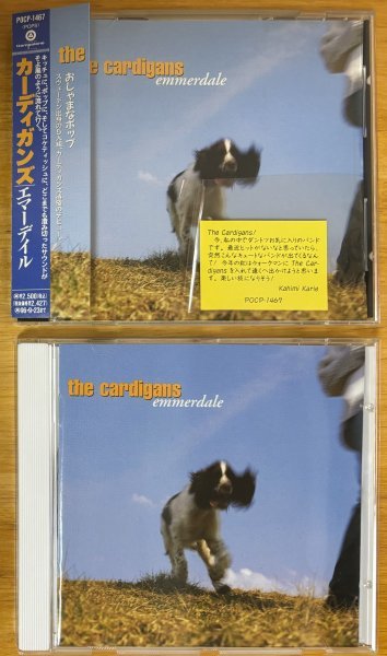 ◎THE CARDIGANS / emmerdale (1st ) 2種 ① 国内盤CD 解説/歌詞/対訳/帯/販促シール付 ② EURO盤CD【 POCP-1467 / TRACD1501 】1994年発売_画像1