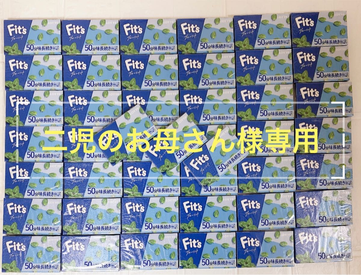 二児のお母さん様専用です。ロッテ Fit's フィッツ ブルーミント 12枚 ×45