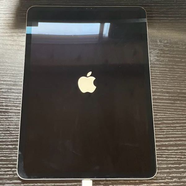 ジャンク品 iPadPro11インチ 第1世代 Cellularモデル256GB 本体のみ ジャンク品 iPadPro11インチ 第1世代 Cellularモデル256GB 本体のみ