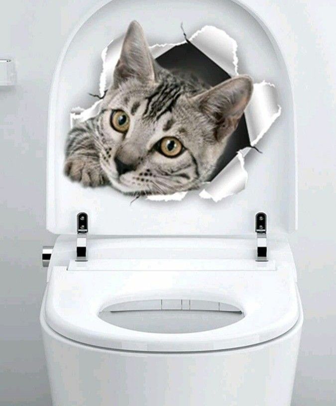 ①猫プリント トイレ蓋ステッカー  シール  1枚