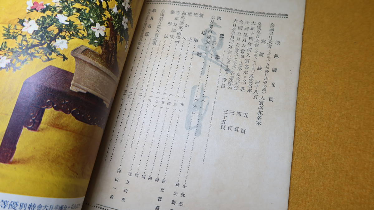 『皐月』非売品/大日本皐月同好会、1926【盆栽/花/「皐月銘鑑」他】_画像7