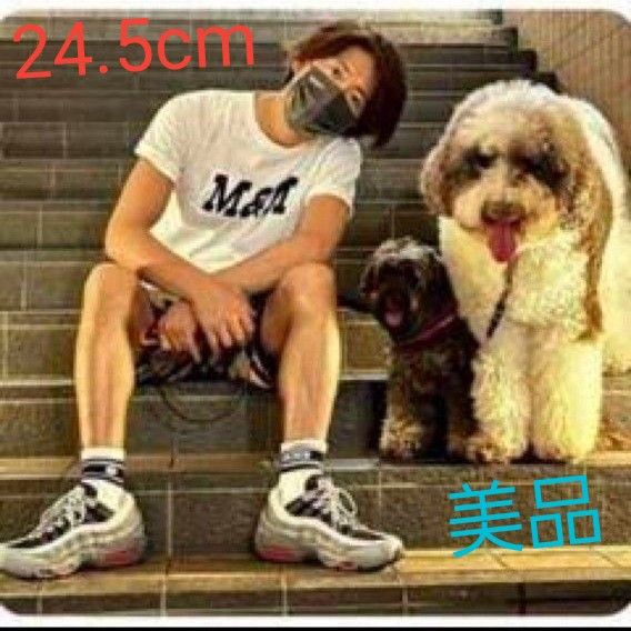 エアマックス95 キムタク着用 超レア 24 5 木村拓哉 レディース エアマックス95 キムタク着用 超レア 24 5 木村拓哉 レディース