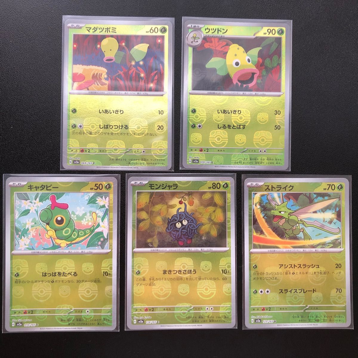 151 マスターボール ミラー マダツボミ ウツドン キャタピー