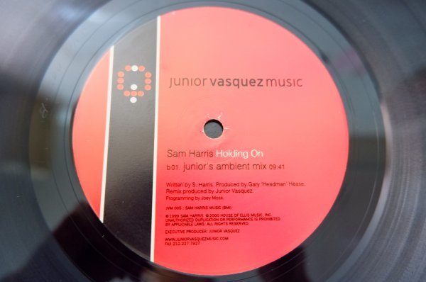 E2-266＜12inch/US盤/美盤＞Sam Harris / Holding On_画像2