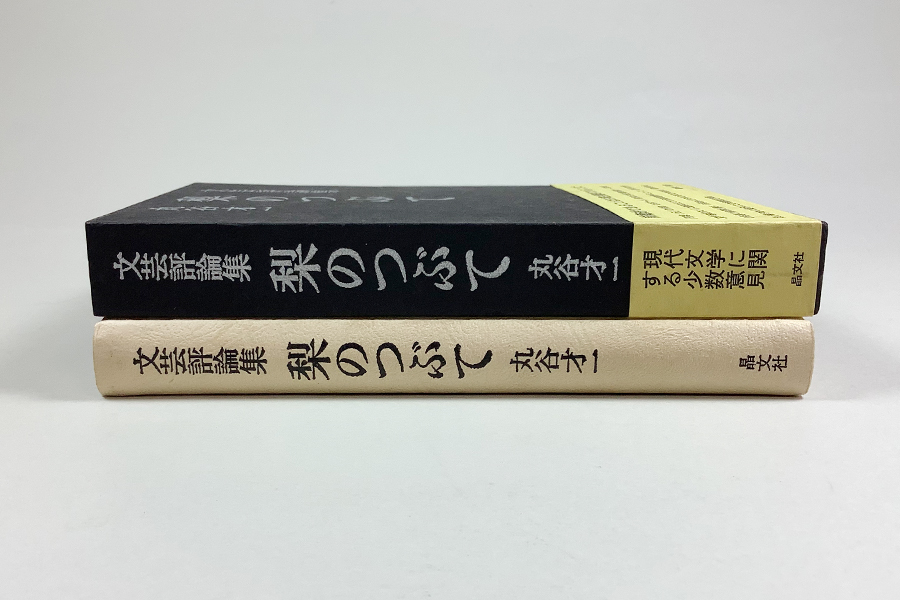 丸谷才一文芸評論集 梨のつぶて 初版 装幀/平野甲賀 函 帯_画像3